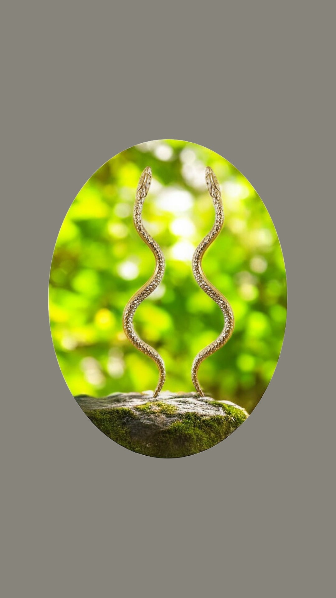 Boucles snake