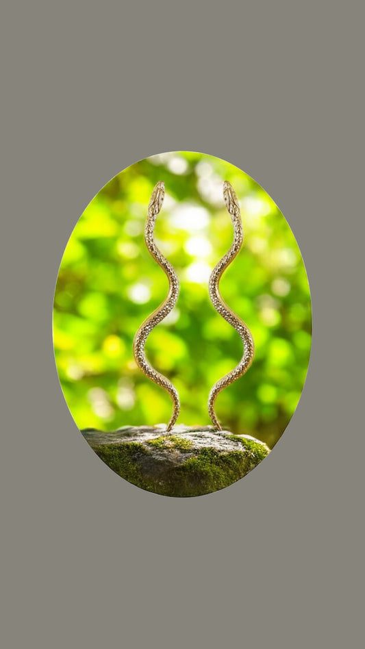Boucles snake