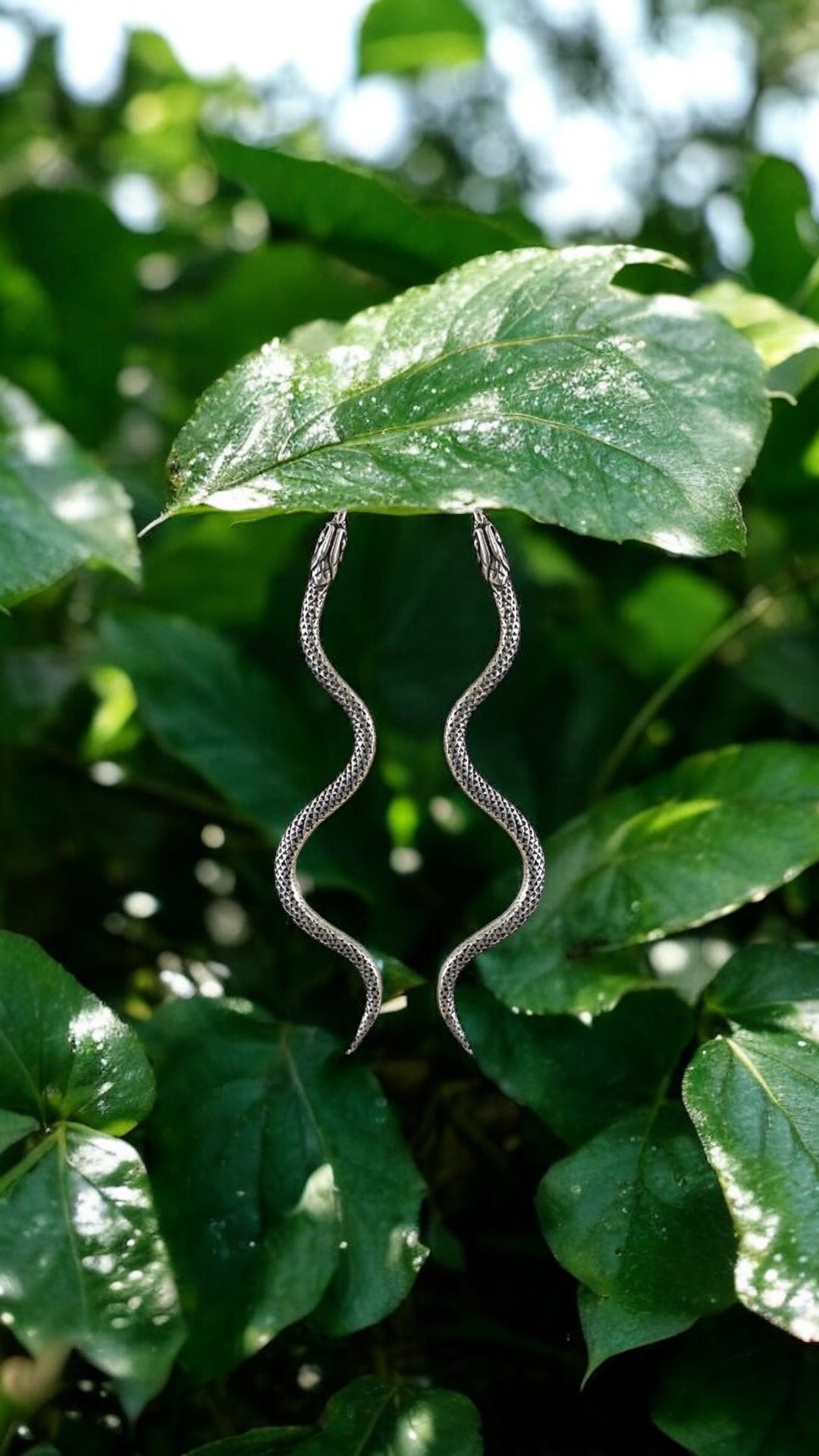 Boucles snake